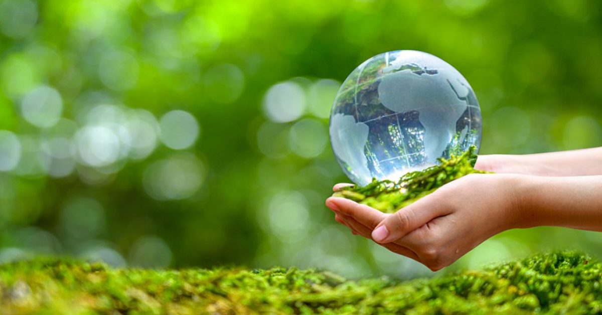 Landmark Environmental Law Cases Recent Judicial Developments in India's Environmental Protection Framework