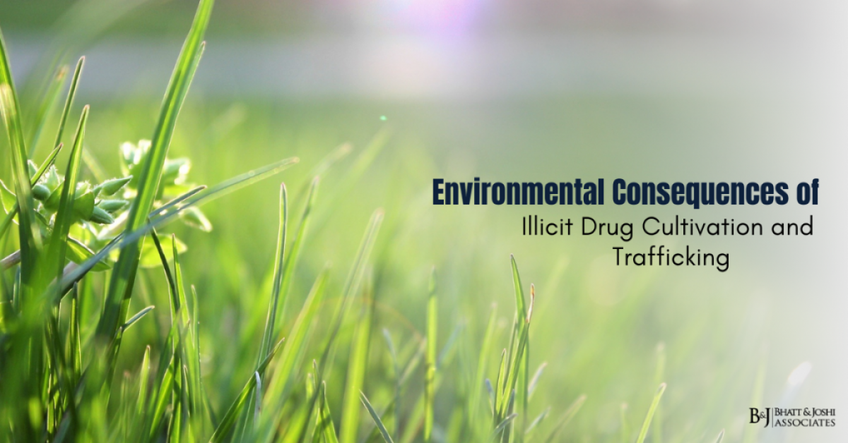 Environmental Impact of Illicit Drug Production and Trafficking