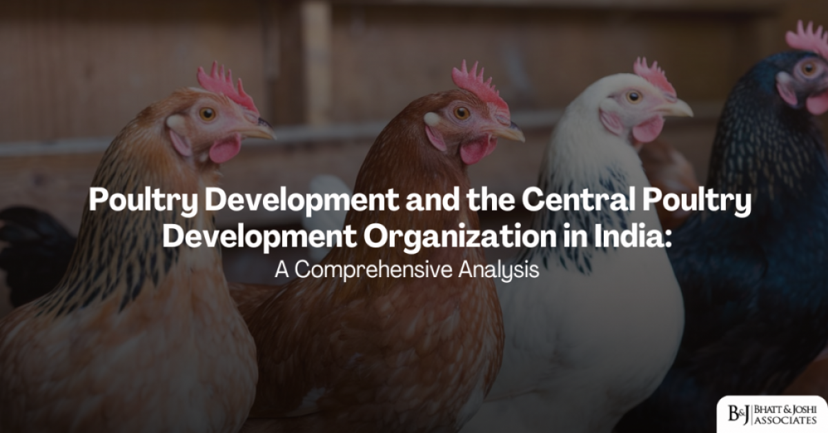 Poultry Sector in India: Evolution, Central Poultry Development Organization (CPDO) Role, and Future Challenges