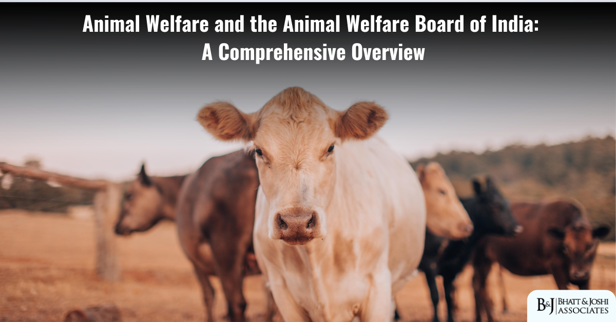 Animal Welfare and the Animal Welfare Board of India: A Comprehensive Overview