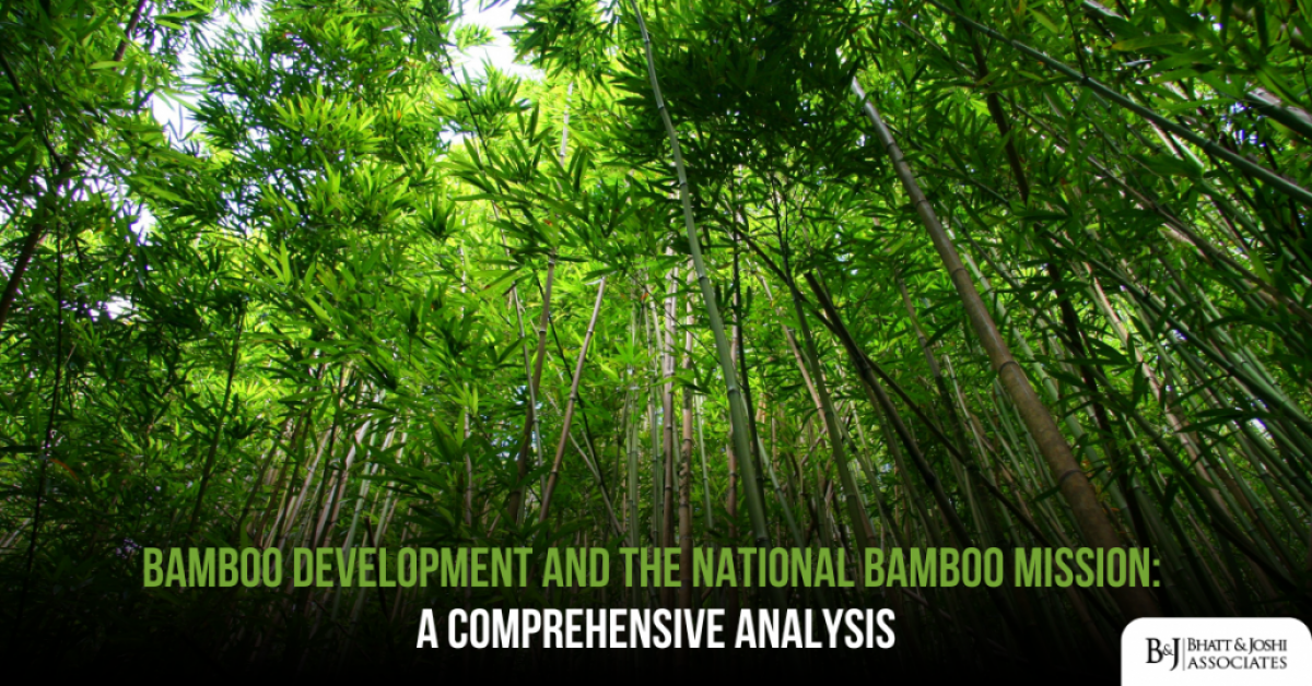 Bamboo Development and the National Bamboo Mission: A Comprehensive Analysis