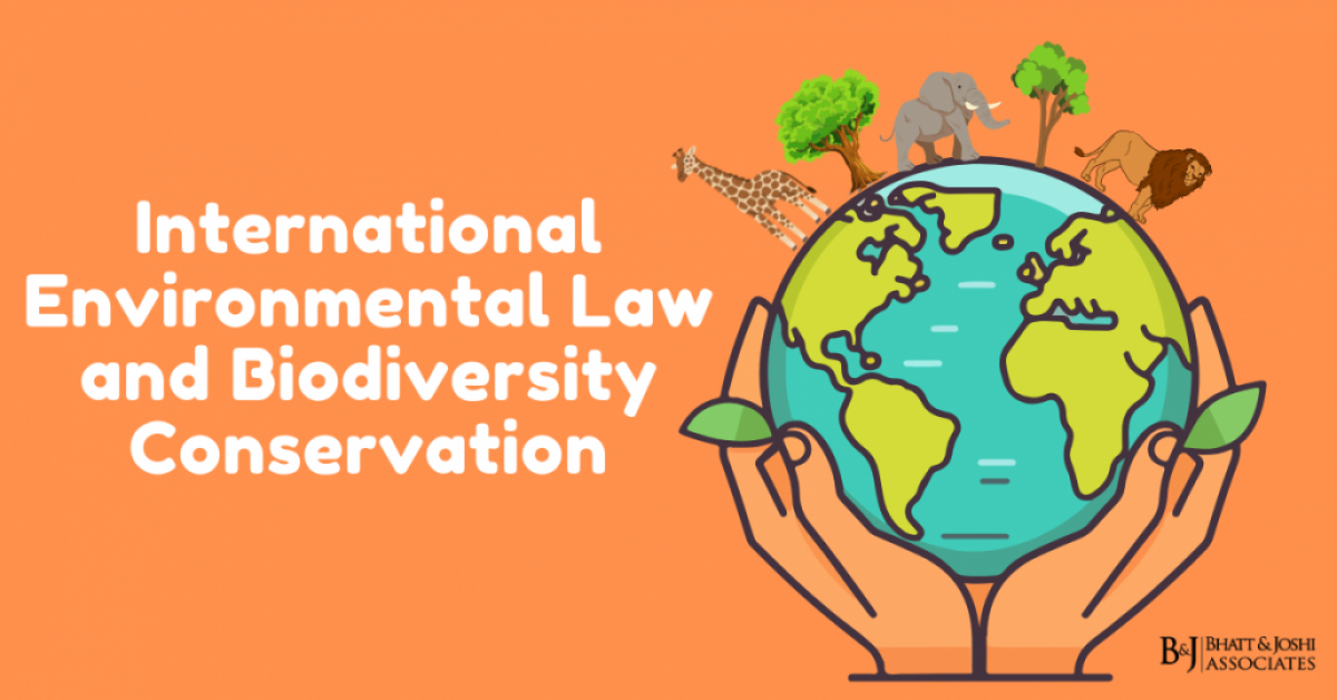 International Environmental Law and Biodiversity Conservation